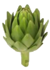 artichoke